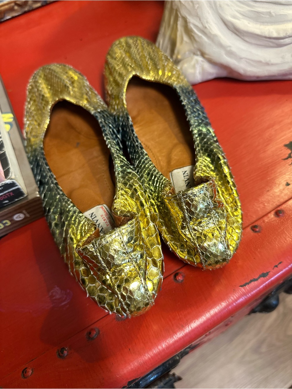 Lanvin Exotic Ballet Flats - Picture 10 of 10